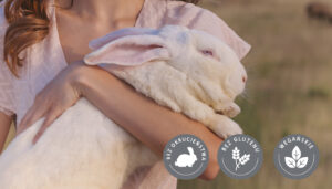 Wegańskie kosmetyki do makijażu